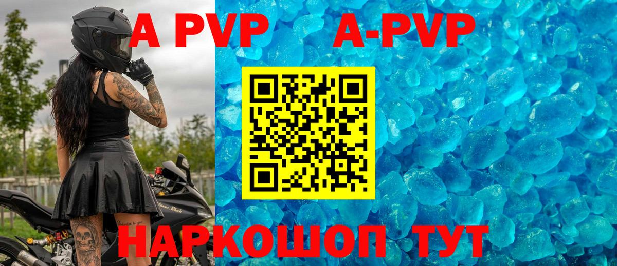 А ПВП крисы CK  Альфа ПВП  Сыктывкар  Вход с VPN  APVP СК КРИС 