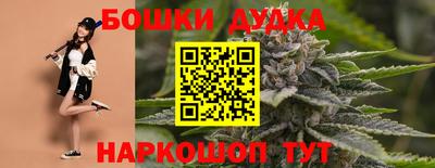 ECSTASY Новозыбков