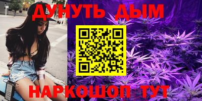 ECSTASY Новозыбков