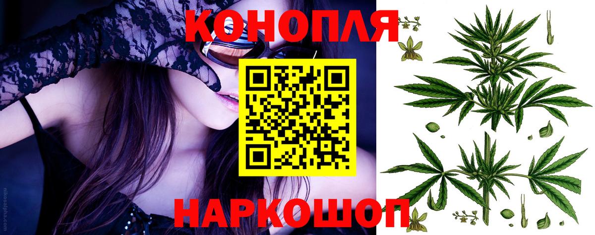 Бошки Шишки тримм Сыктывкар